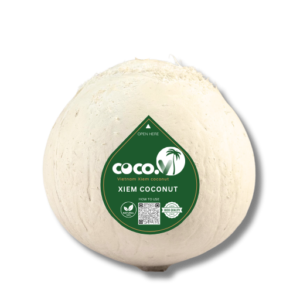 Bald Xiem Coconut