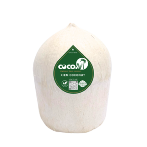 Flat foundation Xiem Coconut