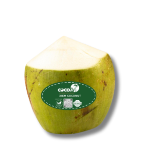 Cone-Shaped Xiem Coconut