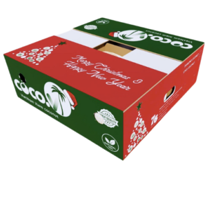 X-Mas Carton Box
